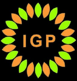PT IGP Internasional logo